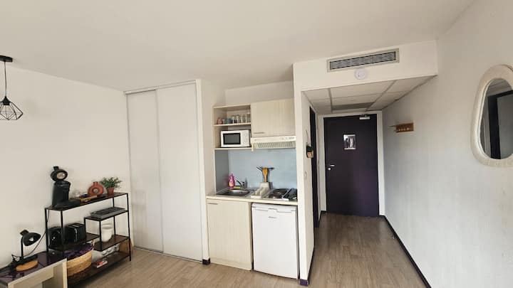 Logement Confortable Et Pratique Du Tout à Lourdes - Lourdes