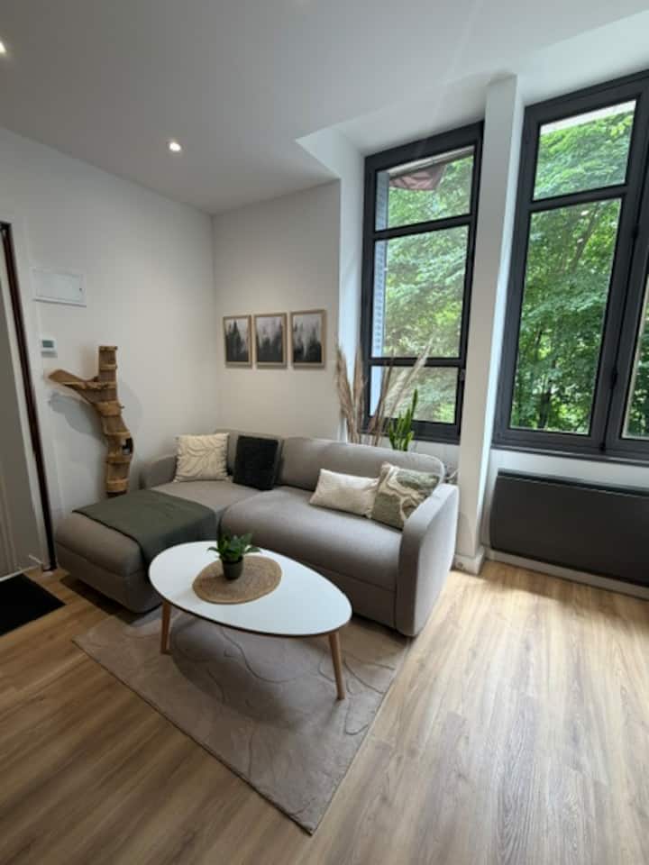 Appartement Chaleureux Au Calme Avec Vue Nature - Saint-Claude