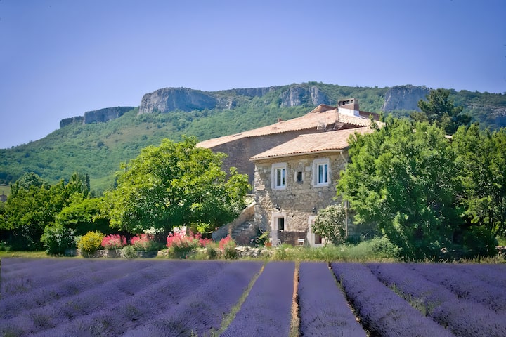 Le Gîte Sauvignon - Bourg-Saint-Andéol