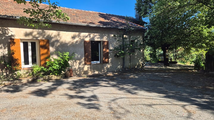 Les Tilleuls - Forcalquier