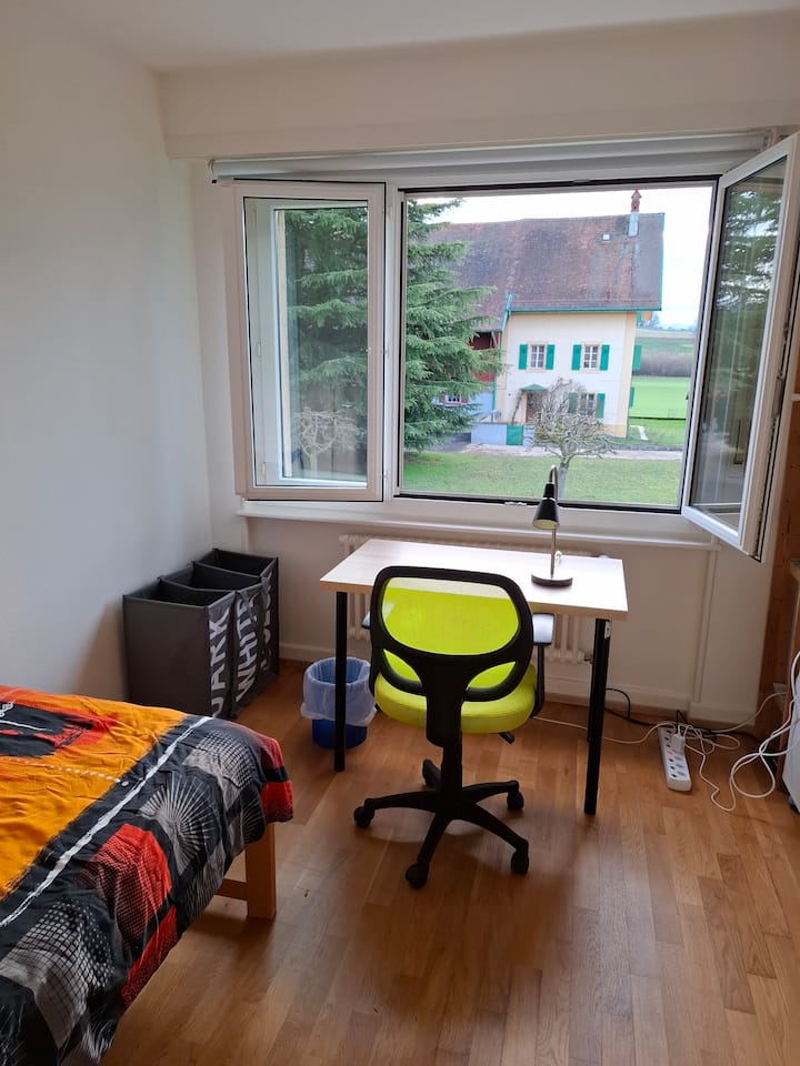 Chambre Meublée Banlieue Lausannoise - Losanna