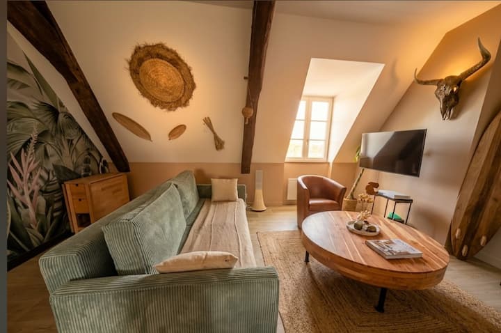 Hôtel Particulier Du 18ème, T2 Rénové Avec Vue - Dinan