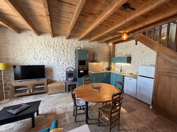 Maison Rénovée • Terrasse • Vignobles • Borne Ve - Meschers-sur-Gironde