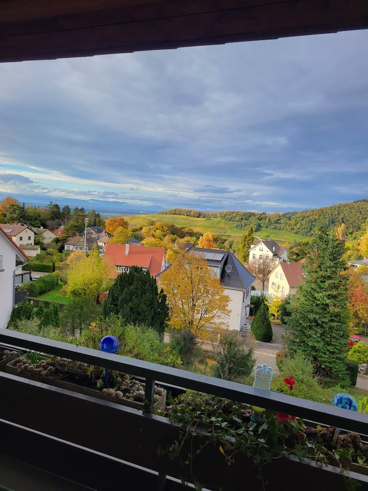 Ferienwohnung Vogesen Mit Lift 67qm - Badenweiler