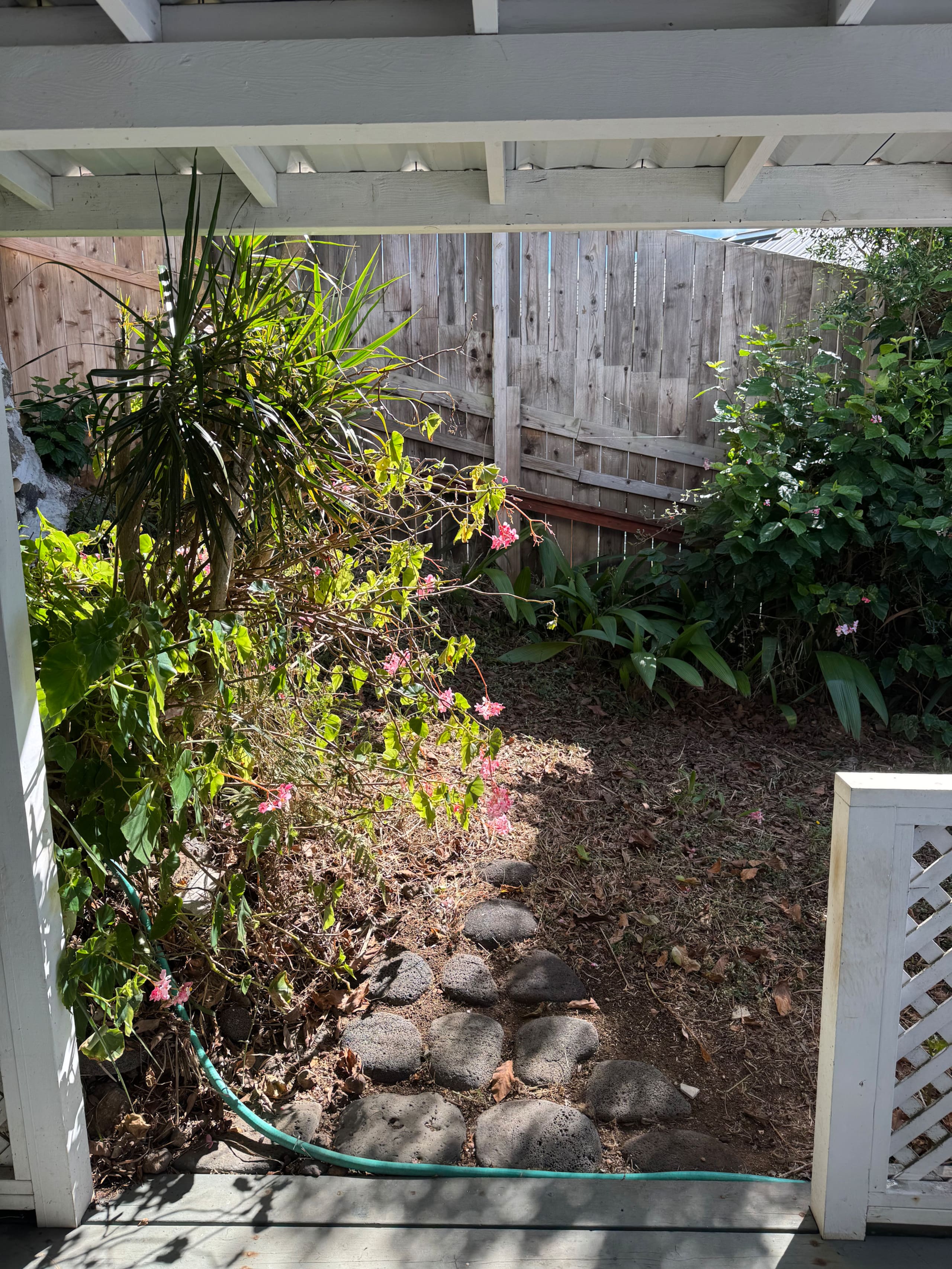 Garden Suite in Waimea Big Island of Hawaii - Image 24