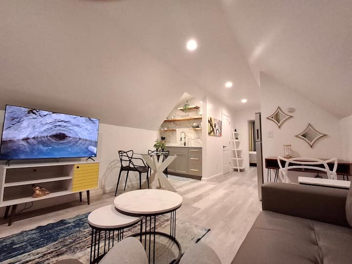 Roof-top Loft, West Buffalo, Near Elmwood-1 Brm - Buffalo, NY