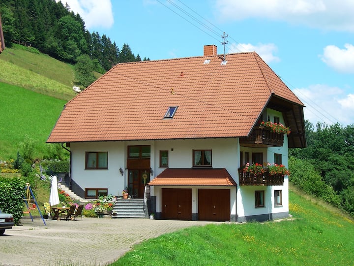 Appartement à Hofstetten En Pleine Nature - Schuttertal