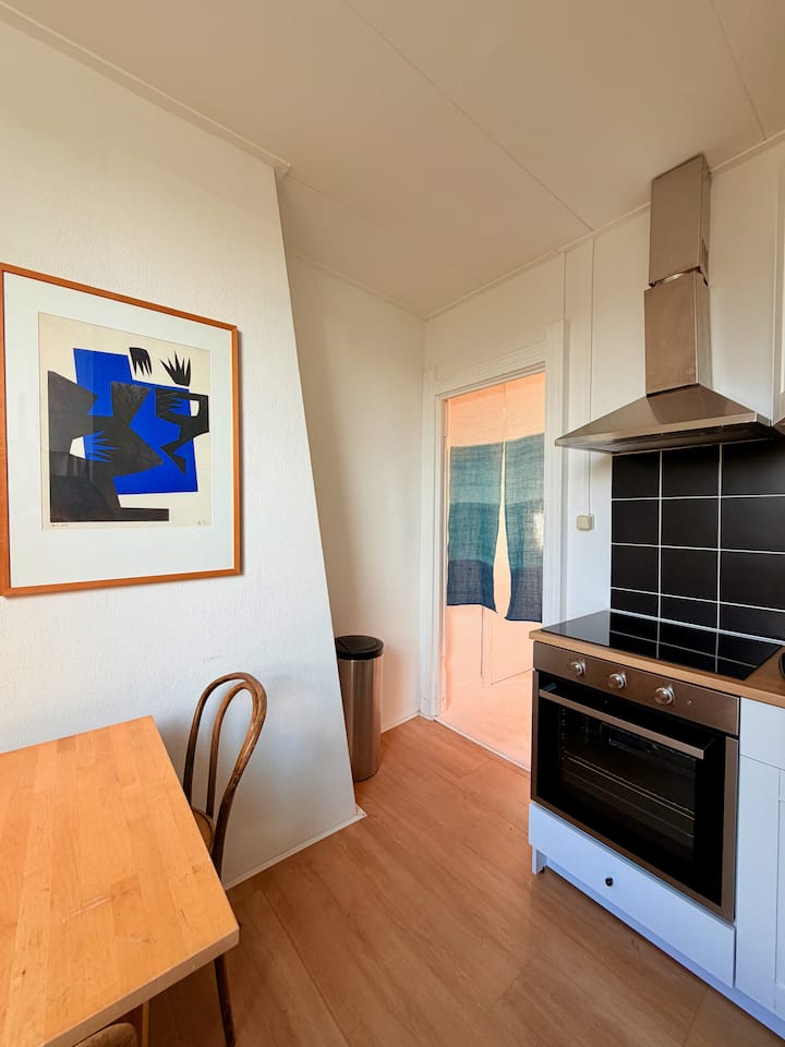 Bright Apartment 2 Mins From Vondelpark W. Terrace - Amstelveen