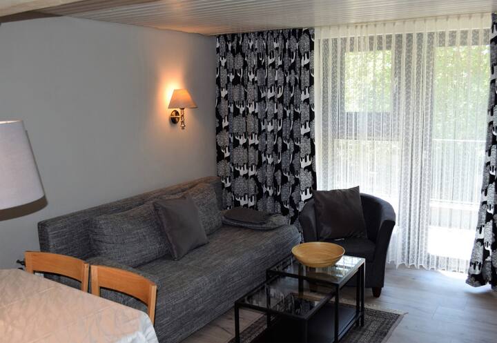 Appartment 2 - Diemelsee