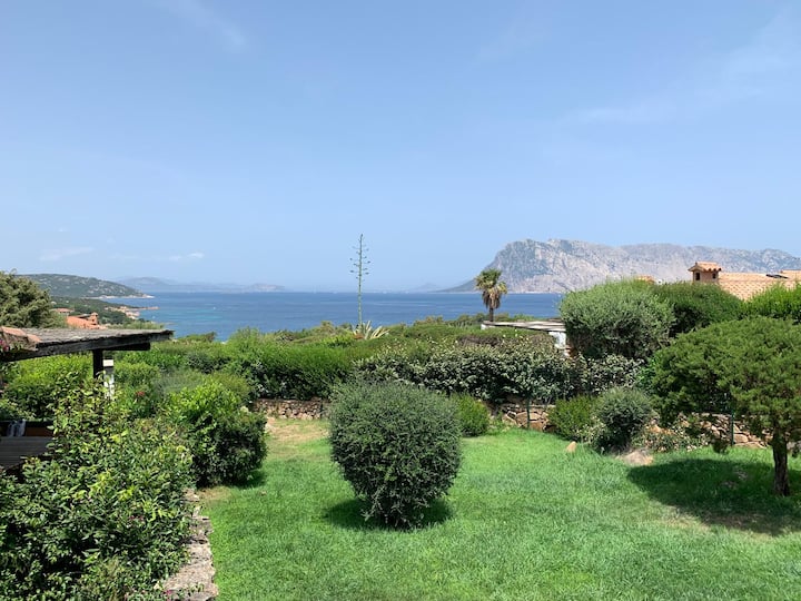 Villa Pusca - San Teodoro