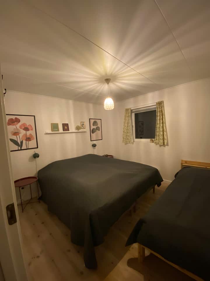Habitación 1