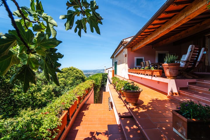 Casa Rosa, Charme E Quiete In Toscana - Rosignano Marittimo