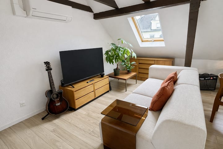 Le Doux Refuge : Appartement Cosy à Strasbourg - Strasbourg