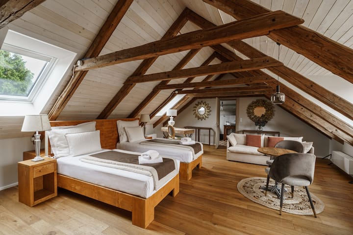 Attic Family Room With Shower - Beroun