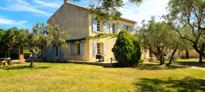 La Cantabile : Mas Provençal Au Cœur Des Vignes - Vacqueyras