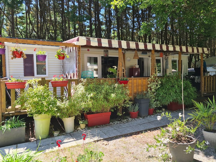 Bungalow, Camping Calme Familial, Lac Tout Proche - Hourtin