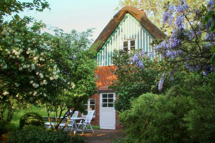 Thatched Cottage With Private Dike On The Elbe - Freiburg (Elbe)