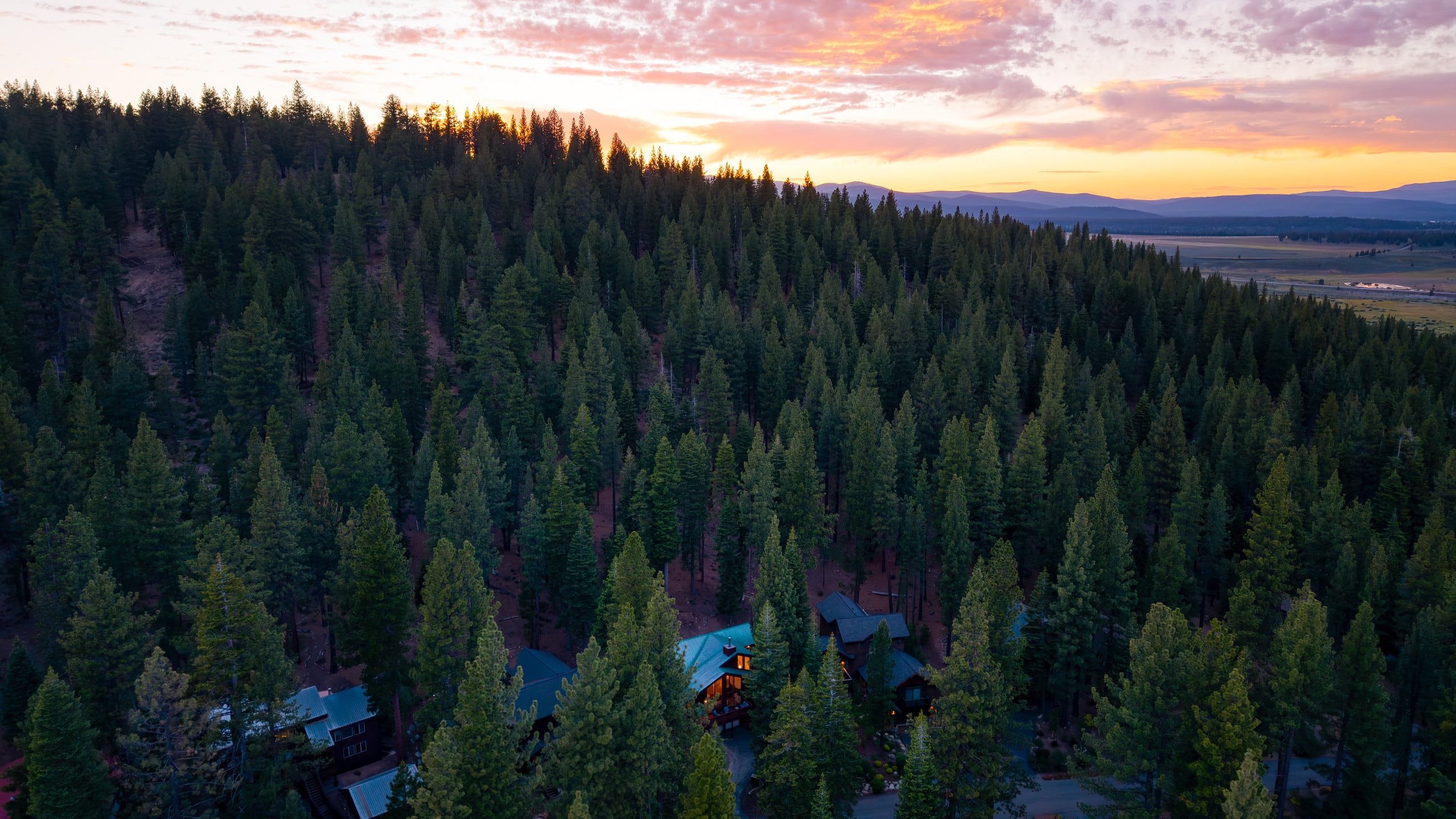 Bear's Lair Sierra Cabin with Forest Views - Photo 54