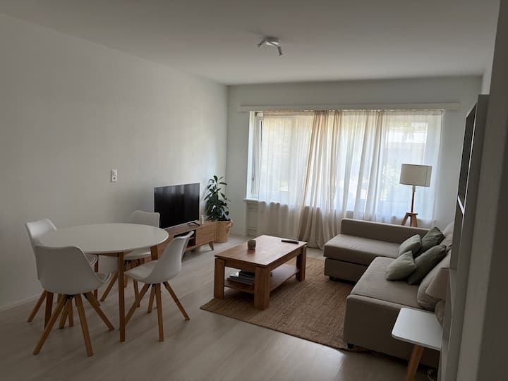 Quiet Fluntern Flat By Uni Hospital & Eth - Zürich
