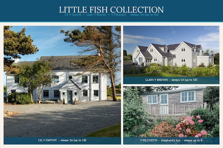 Little Fish Collection - Rhosneigr