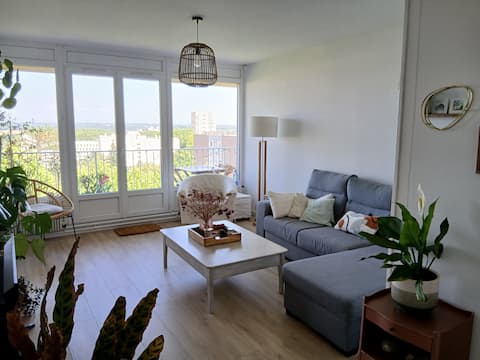 Successful Airbnb property: Mâcon Apartment in Mâcon