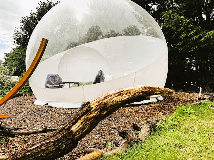 Bubbletent Sternennacht - Bargteheide