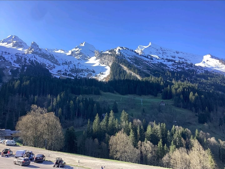 Agréable Appartement Au Pied Des Pistes Avec Vue ! - ラ・クリュサ