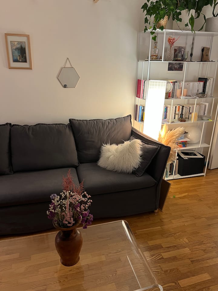 Deux-pièces Cosy Et Chaleureux à Gambetta - Notre-Dame / Île de la Cité
