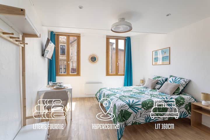 Suite De Lazur - Studio - Hypercentre - Narbonne