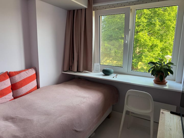 Habitación 1
