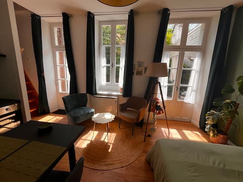 Top performing Airbnb: Quiet studio with wooded courtyard — central Pau in Pau