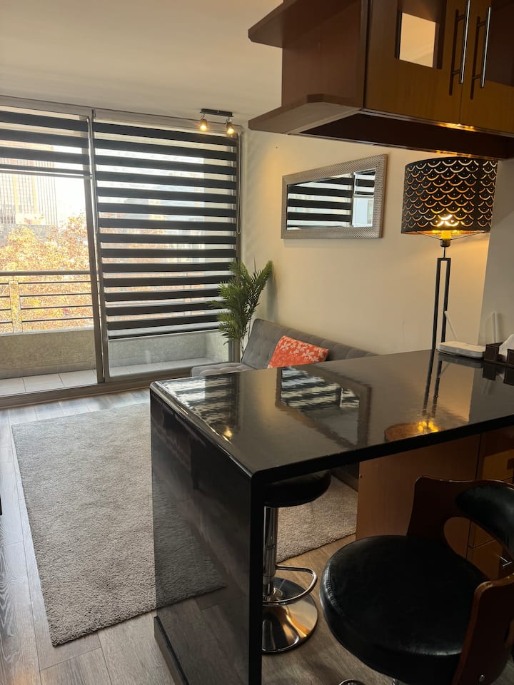 Providencia Premium Suite - Providencia