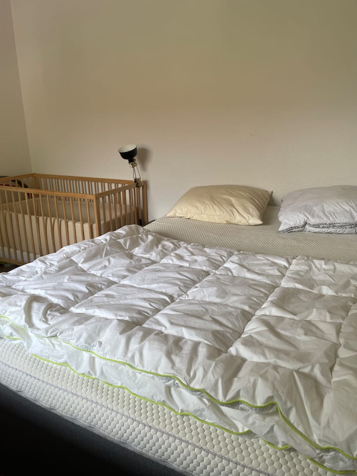 Habitación 2