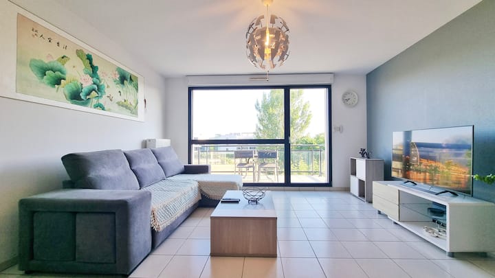 Lotus De Colmar - Wifi - Balcon - Garage - Colmar