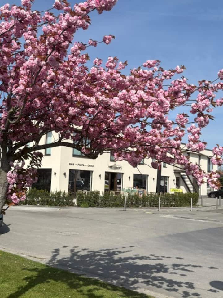 2 Bedroom Appartment 1st Floor (App 104) - Diksmuide