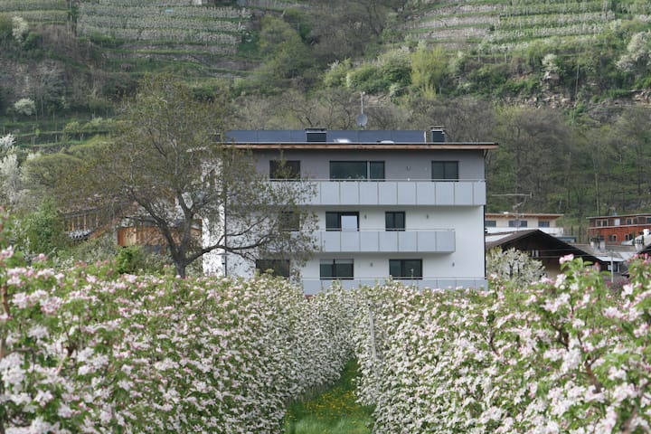 Waalhof Ferienwohnung Apfelblüte - Goldrain