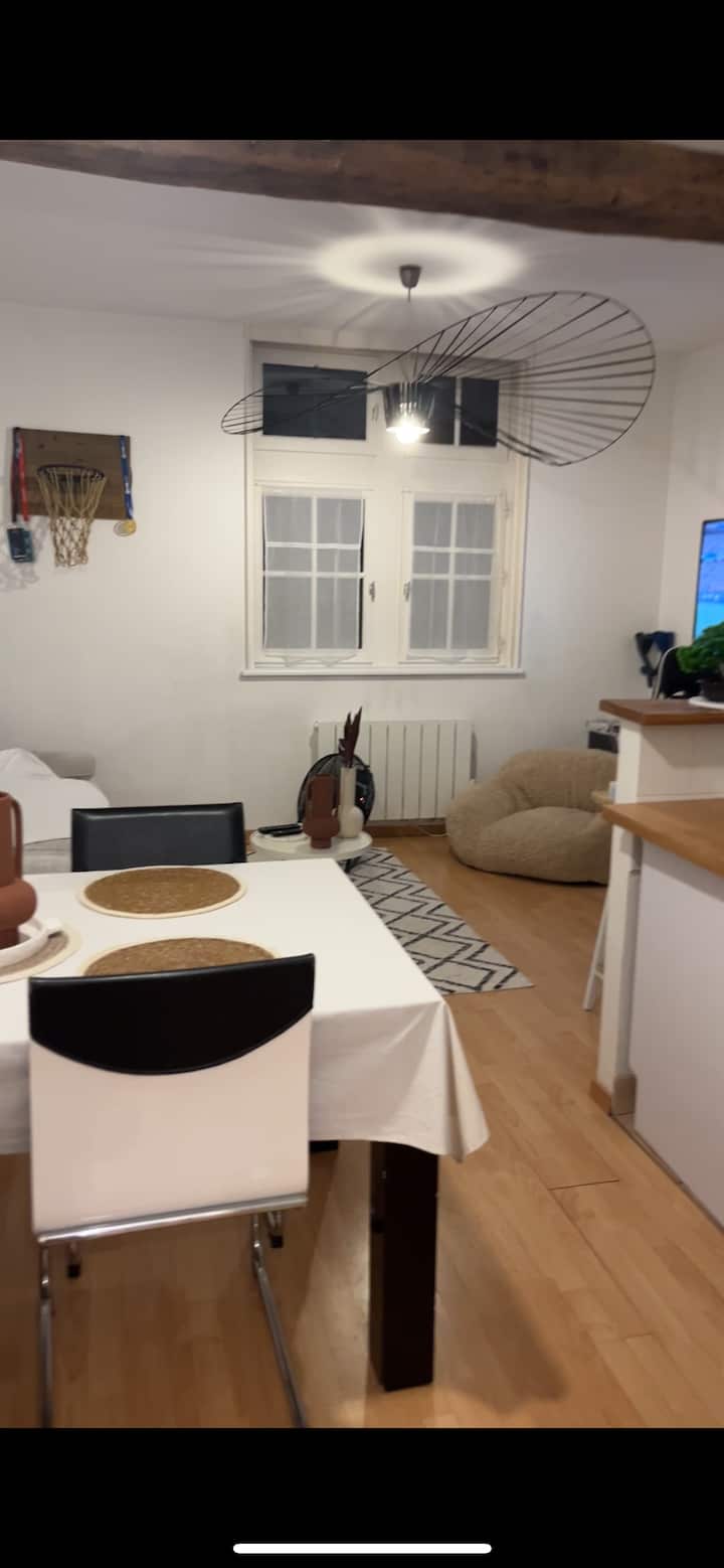 Logement Situé Plein Centre Cathédrale St Vincent - Chalon-sur-Saône