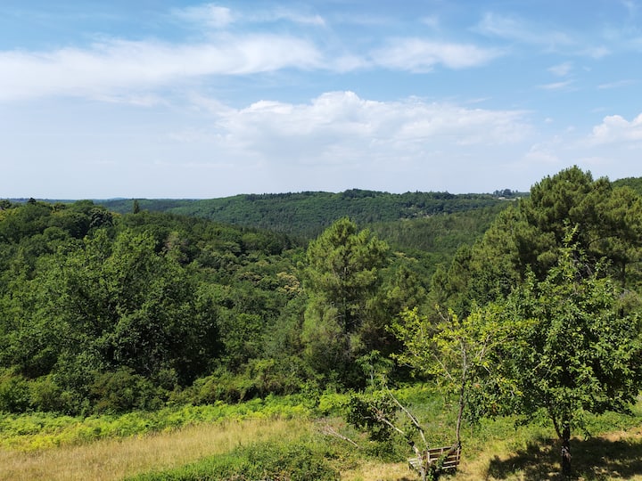Maison Avec Vue Forêt En Périgord Noir - Dordogne