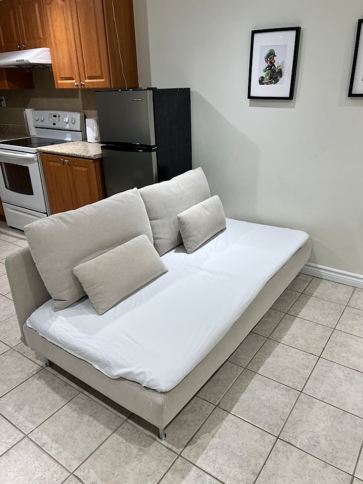 Themed Basement Suite - Markham