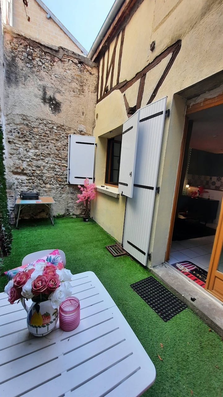 Grand Studio Avec Courette En Centre Ville - Joigny
