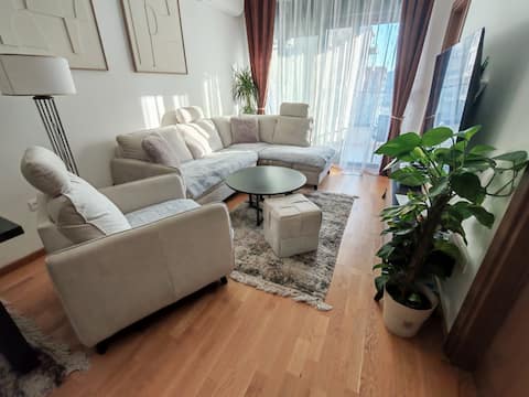 Popular Airbnb listing: City center luxurious apartment in Rozino