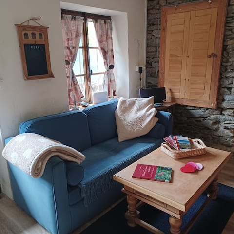 Successful Airbnb property: Vacation rental in the Beaufortain alpine chalet in Villard Sur Doron