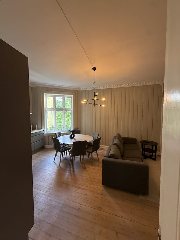 Stor Og Sentral Leilighet Ved Slottet - Oslo
