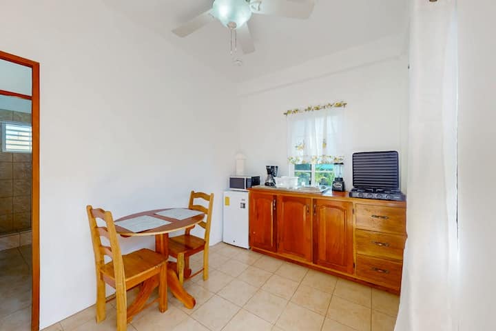 1BR apartment with kitchenette & WiFi in Caye Caulker