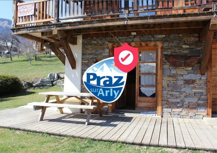 Aspen, Exposé Plein Sud, Vue Sur Les Pistes - Praz-sur-Arly