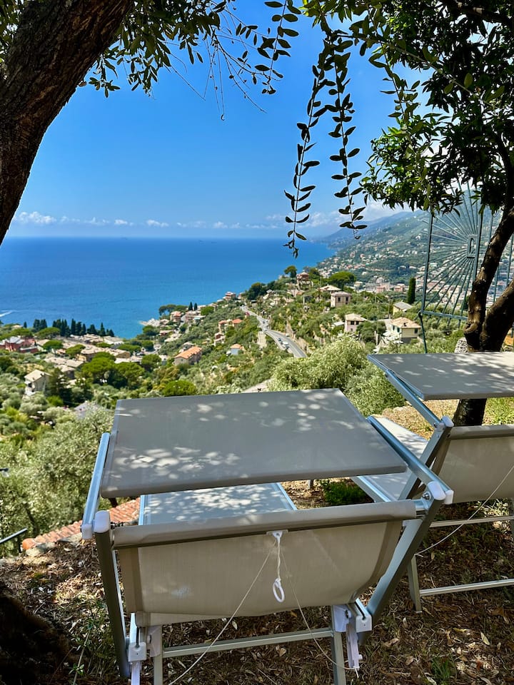 Camogli, Intero Alloggio Vista Mare Con Giardino - Camogli