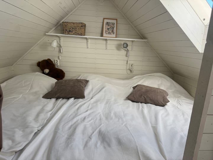Habitación 1