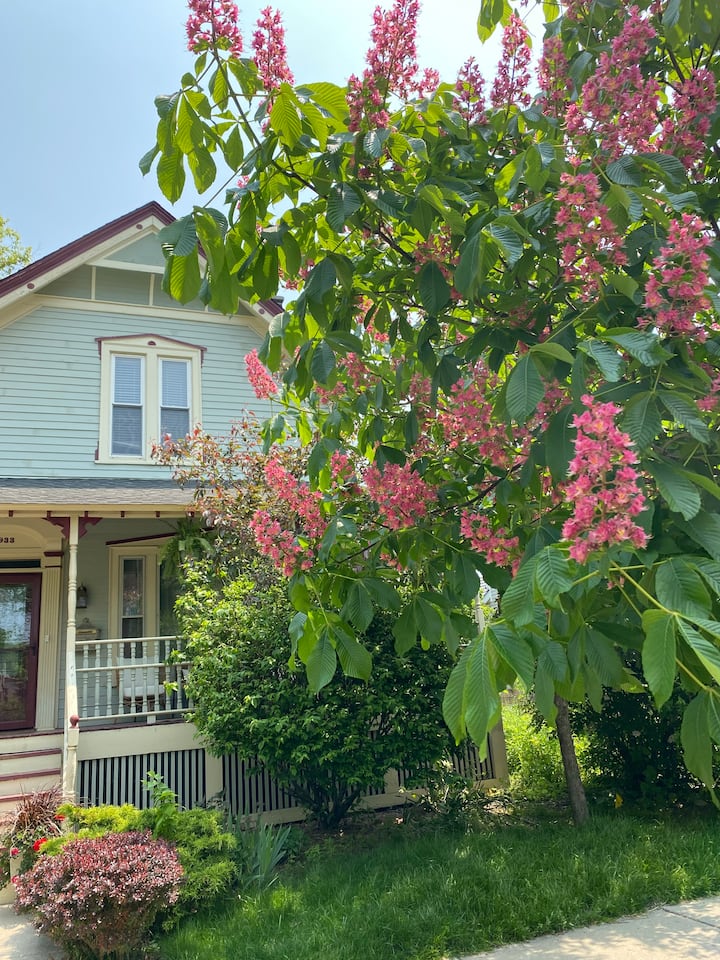 Stunning Victorian Style Living - Evanston, IL