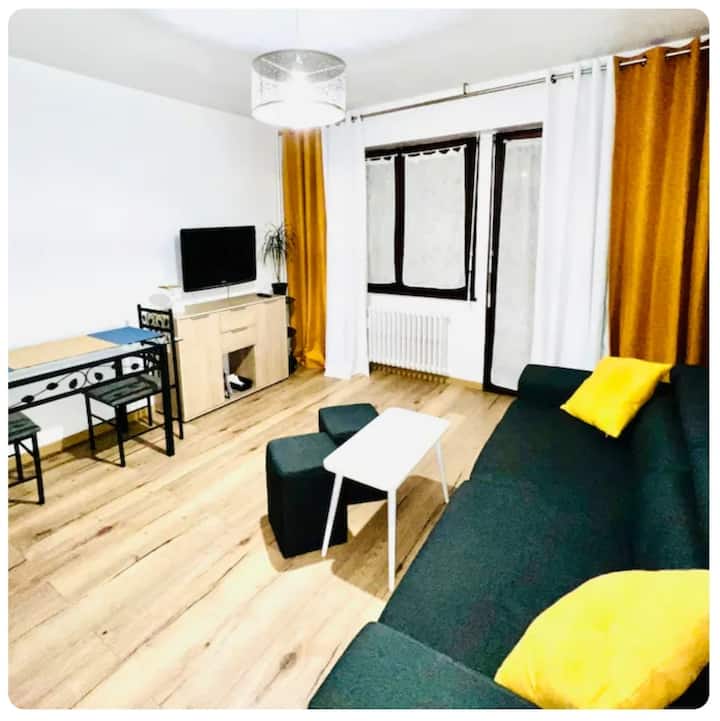 Appartement Entier Annemasse 2 Min De Genève - Annemasse