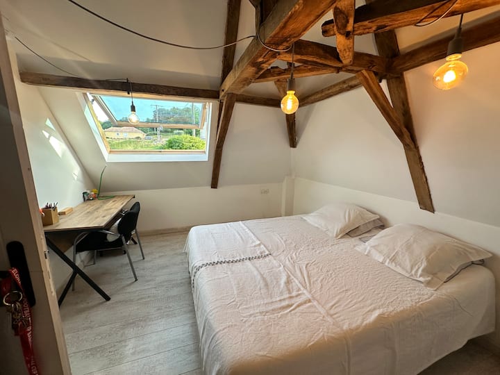 Habitación 3